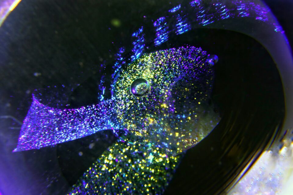 Behind the Scenes with Toby Watson: How He Champions His Wife Lucy's Innovative Musical 'Level Up!'